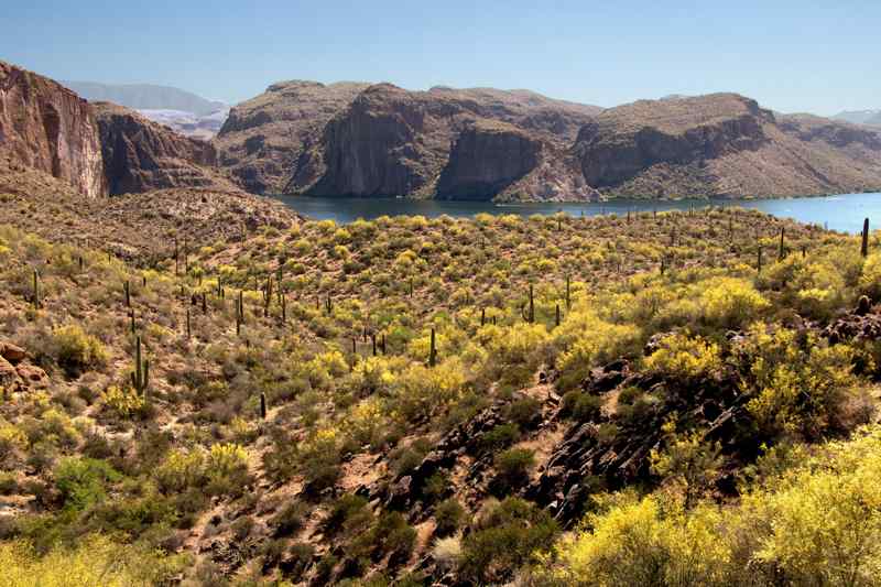 Canyon Lake