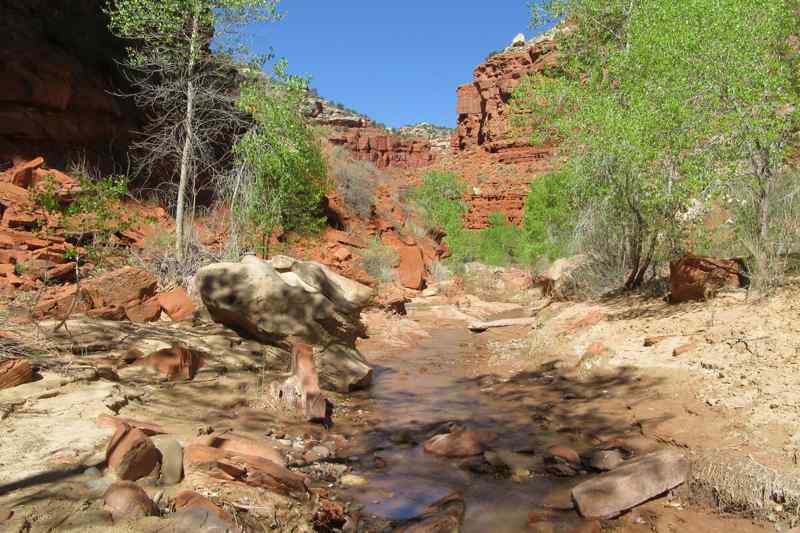 Hackberry Canyon