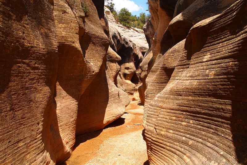 Willis Creek