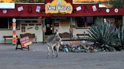 Route 66, de Barstow à Seligman