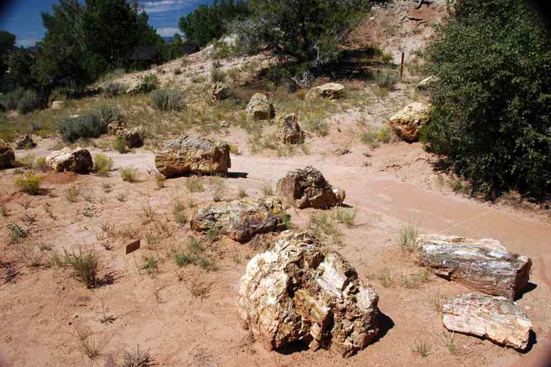 Escalante Petrified Forest State Park