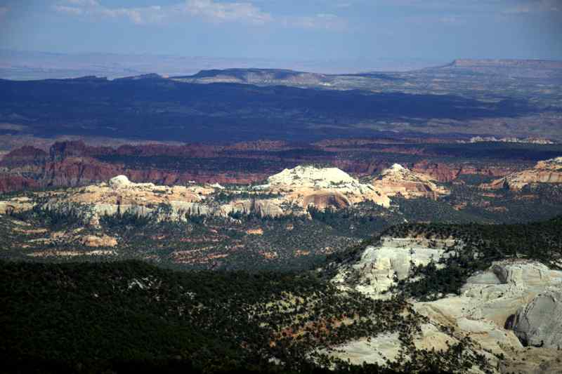 Homestead Overlook