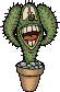 Gif animé cactus