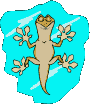 Gif animé lezard Gif animé lezard