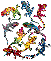Gif animé lezard Gif animé lezard