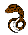 Gif animé serpent