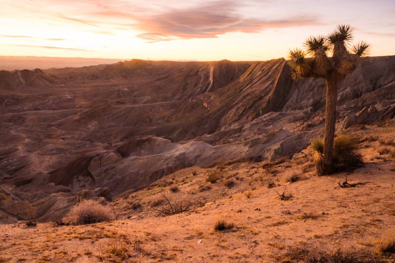 Rainbow Basin Natural Area