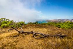 Big Sur