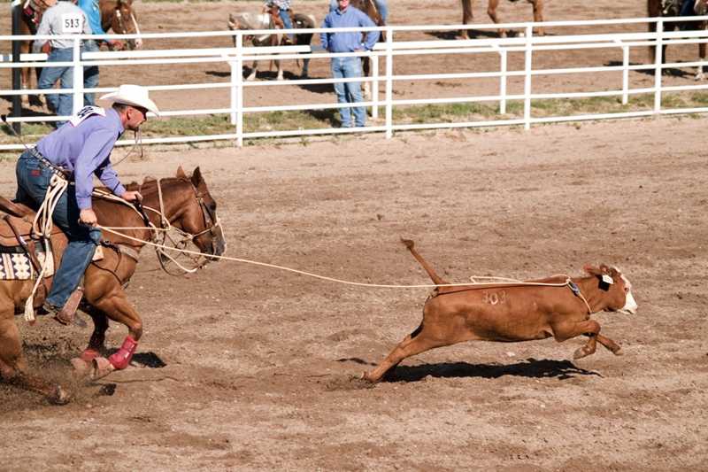 Hell on Wheels Rodeo