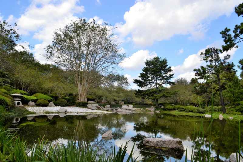 Jardin botanique