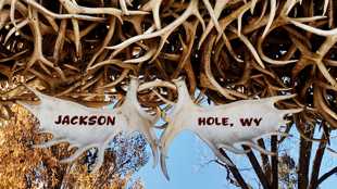 Jackson Hole