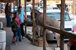 Oatman