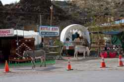 Oatman