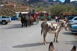 Oatman