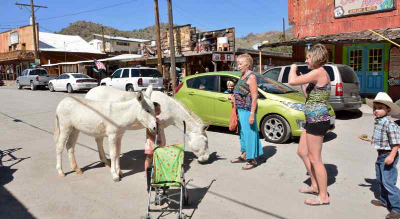 Burros Oatman