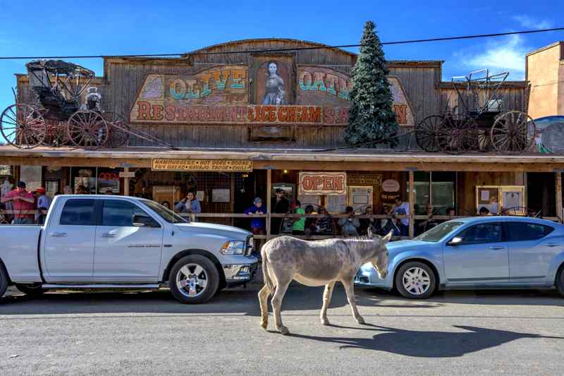 Olive Oatman Ice Cream