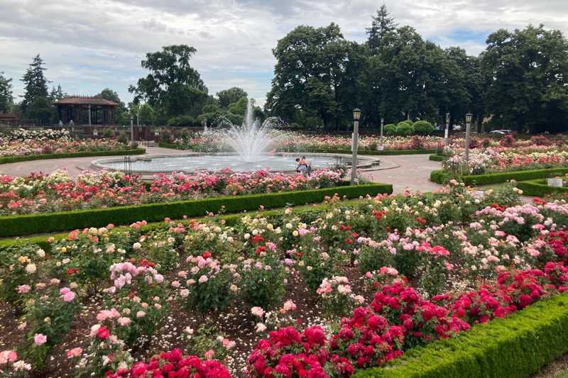 Peninsula Park Rose Garden