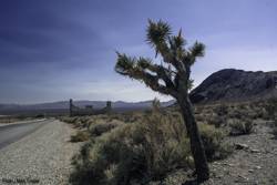 Rhyolite Ghost Town