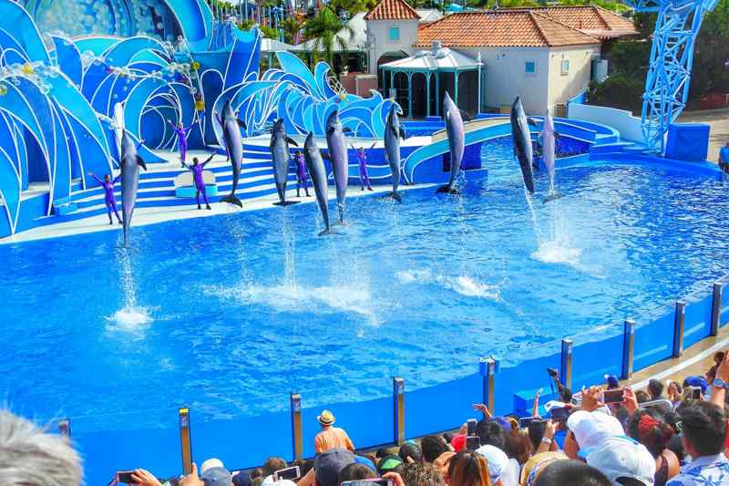 Seaworld San Diego