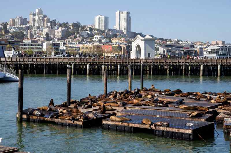 Pier 39