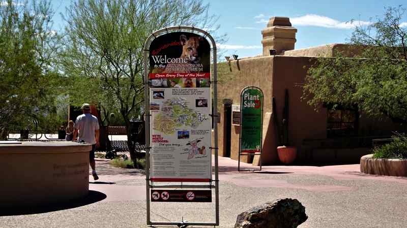 Arizona Sonora Desert Museum