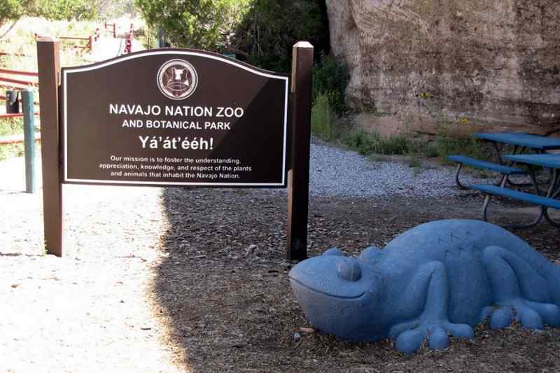 Navajo Nation Zoo