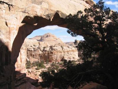 Fond d'écran Capitol Reef National Park