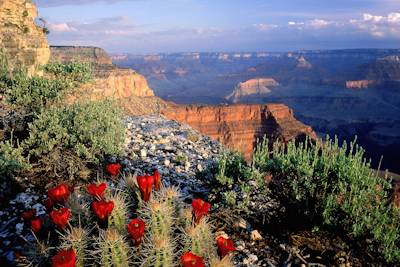 Fond d'écran Grand Canyon National Park 11