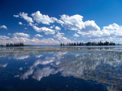 Fond d'écran Yellowstone National Park 4