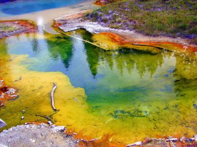 Fond d'écran Yellowstone National Park 6