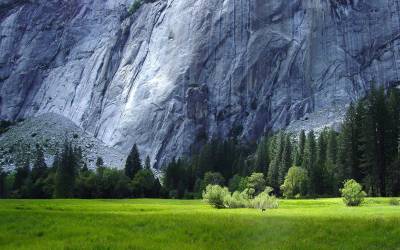 Fond d'écran Yosemite National Park 1