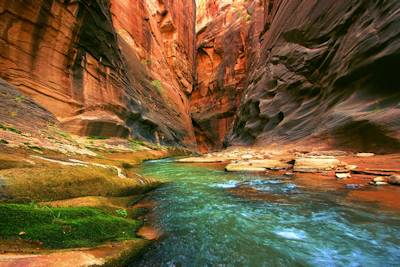 Fond d'écran Zion National Park