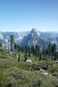 Yosemite National Park 2 Mo