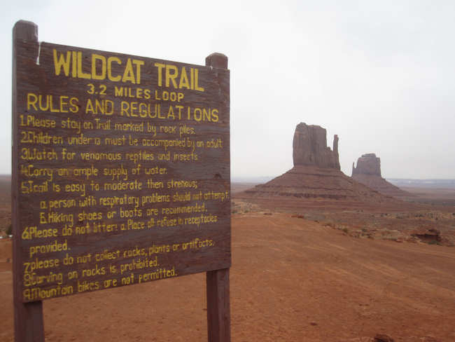 Wild Cat Trail
